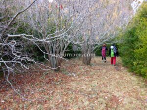 Inicio - Barranc de l'Olla de Mel - Saldes - RocJumper