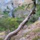 009 Cueva Rio Mundo Riopar Rocjumper
