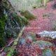 010 Rec Espinedes Malanyeu Rocjumper