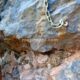 010 Torrent Jou Afluente Izquierdo Sant Corneli Rocjumper