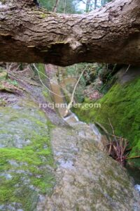 010 Torrent Pla Traver Vidra Rocjumper