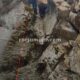 011 Barranc Olla Mel Saldes Rocjumper