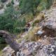 011 Cueva Rio Mundo Riopar Rocjumper