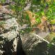 011 Gorgas Ransol Canillo Rocjumper