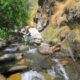 012 Gorgas Ransol Canillo Rocjumper