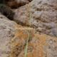 012 Torrent Jou Afluente Izquierdo Sant Corneli Rocjumper