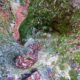 013 Rec Espinedes Malanyeu Rocjumper