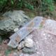 014 Camino Equipado Pas Romeret Beceite Rocjumper