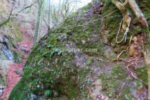 R3 - Rec de les Espinedes - Malanyeu - RocJumper