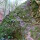 014 Rec Espinedes Malanyeu Rocjumper