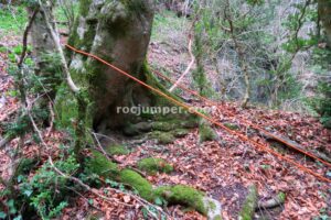 014 Torrent Pla Traver Vidra Rocjumper