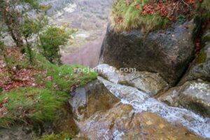 015 Torrent Pla Hortals Vidra Rocjumper