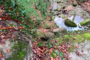 015 Torrent Pla Traver Vidra Rocjumper