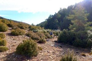Aproximación - Barranc de la Ribalera - Oliana - RocJumper