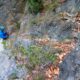 016 Torrent Jou Afluente Izquierdo Sant Corneli Rocjumper