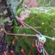 016 Torrent Saltant Lluis Malanyeu Rocjumper