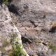 017 Via Ferrata Marujes Tavernes Valldigna Rocjumper