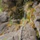 018 Gorgas Ransol Canillo Rocjumper