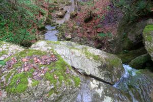 018 Torrent Pla Traver Vidra Rocjumper