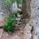 019 Camino Equipado Pas Romeret Beceite Rocjumper
