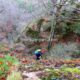 019 Rec Espinedes Malanyeu Rocjumper