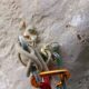 020 Barranc Olla Mel Saldes Rocjumper A