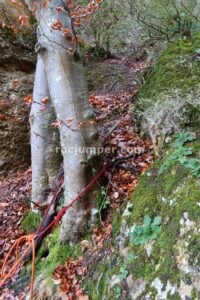 R5 - Rec de les Espinedes - Malanyeu - RocJumper
