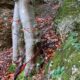 020 Rec Espinedes Malanyeu Rocjumper