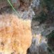 020 Torrent Jou Afluente Izquierdo Sant Corneli Rocjumper