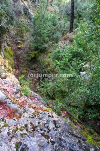 Destrepes - Barranc de la Ribalera - Oliana - RocJumper