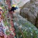 021 Rec Espinedes Malanyeu Rocjumper