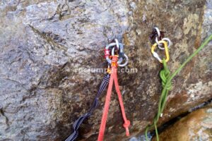 021 Torrent Pla Hortals Vidra Rocjumper