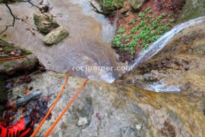 021 Torrent Pla Traver Vidra Rocjumper