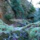 021 Torrent Saltant Lluis Malanyeu Rocjumper