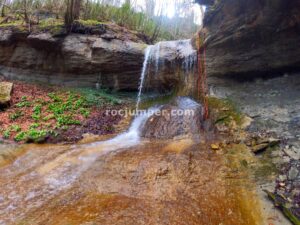 022 Torrent Pla Traver Vidra Rocjumper