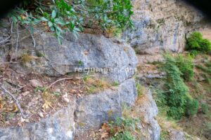 Reunión - Cueva de los Chorros - Río Mundo - Riópar - RocJumper