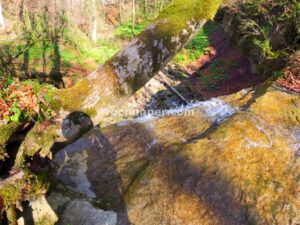 025 Torrent Pla Traver Vidra Rocjumper