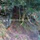 025 Torrent Saltant Lluis Malanyeu Rocjumper