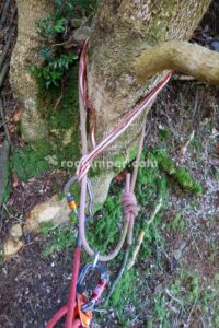 R4 - Torrent de Saltant de Lluis - Malanyeu - RocJumper