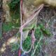 028 Torrent Saltant Lluis Malanyeu Rocjumper