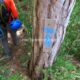 030 Camino Equipado Pas Romeret Beceite Rocjumper