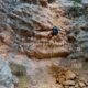 030 Torrent Jou Afluente Izquierdo Sant Corneli Rocjumper