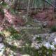 031 Camino Equipado Pas Romeret Beceite Rocjumper