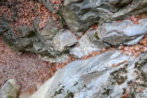 Unión - Torrent del Jou afluente derecho - Sant Corneli - RocJumper