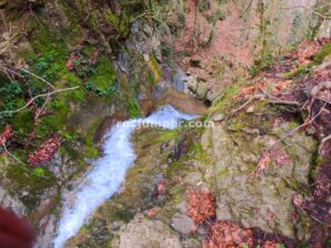 032 Torrent Pla Traver Vidra Rocjumper