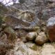 033 Torrent Jou Afluente Izquierdo Sant Corneli Rocjumper