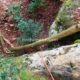 035 Barranc Ribalera Oliana Rocjumper