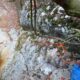035 Torrent Jou Afluente Izquierdo Sant Corneli Rocjumper