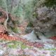 036 Torrent Saltant Lluis Malanyeu Rocjumper