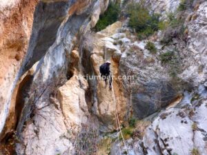 R7 - Barranc de l'Olla de Mel - Saldes - RocJumper